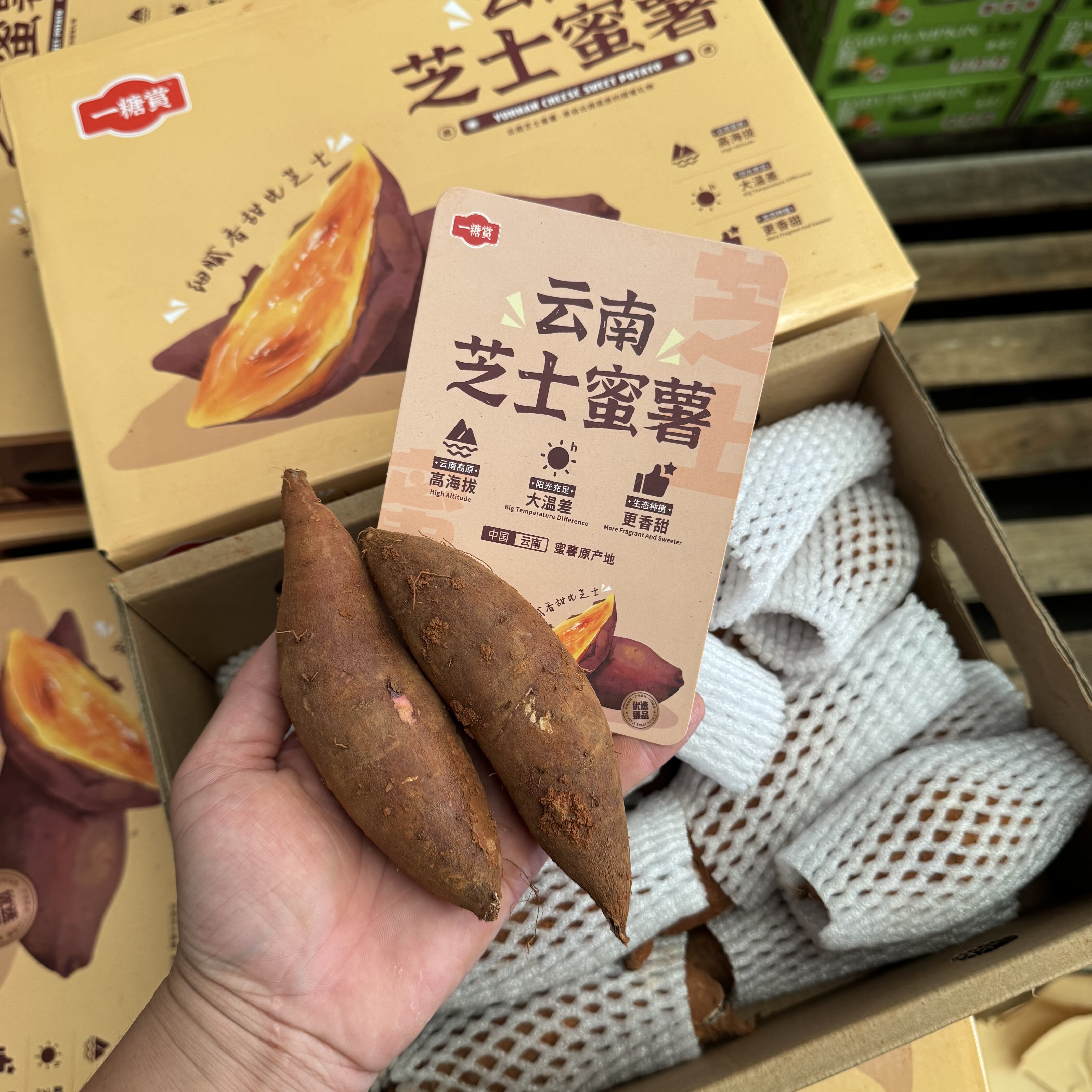 Yunnan Yitang Appreciation Cheese Honey Sweet Potato Roasted Sweet Potato Flour Glutinous Honey Potato Sweet Potato Yellow Heart Sweet Potato 25 Years Fresh Sandy Sweet Potato