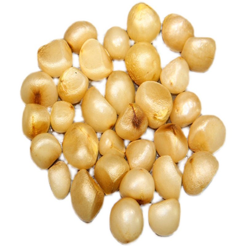 君子兰种子精品国兰种子净化空气四季种植耐寒室内好养绿植花卉,淘宝优惠券,粉丝福利购,淘宝优惠卷