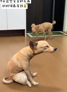 狗拉屎抱枕拉屎嗯嗯狗狗毛绒