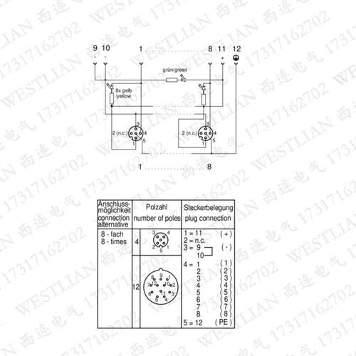 德国lumberg隆堡M12传感器带NPN分线盒ASBS 8/LED NPN 5-4 - 图2