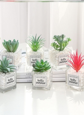 仿真多肉客厅摆件小盆栽装饰品绿植物假花桌面摆设拍照拍摄影道具