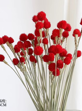 千日红永生花干花花束红色DIY材料粘花云南高级感真花装饰草莓花