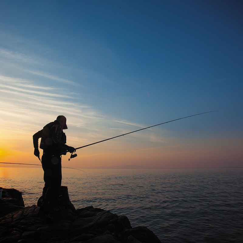 DAIWA达亿瓦 新款 BJ SNIPER 红杰克 前打竿定位竿碳素钓鱼竿,淘宝优惠券,粉丝福利购,淘宝优惠卷