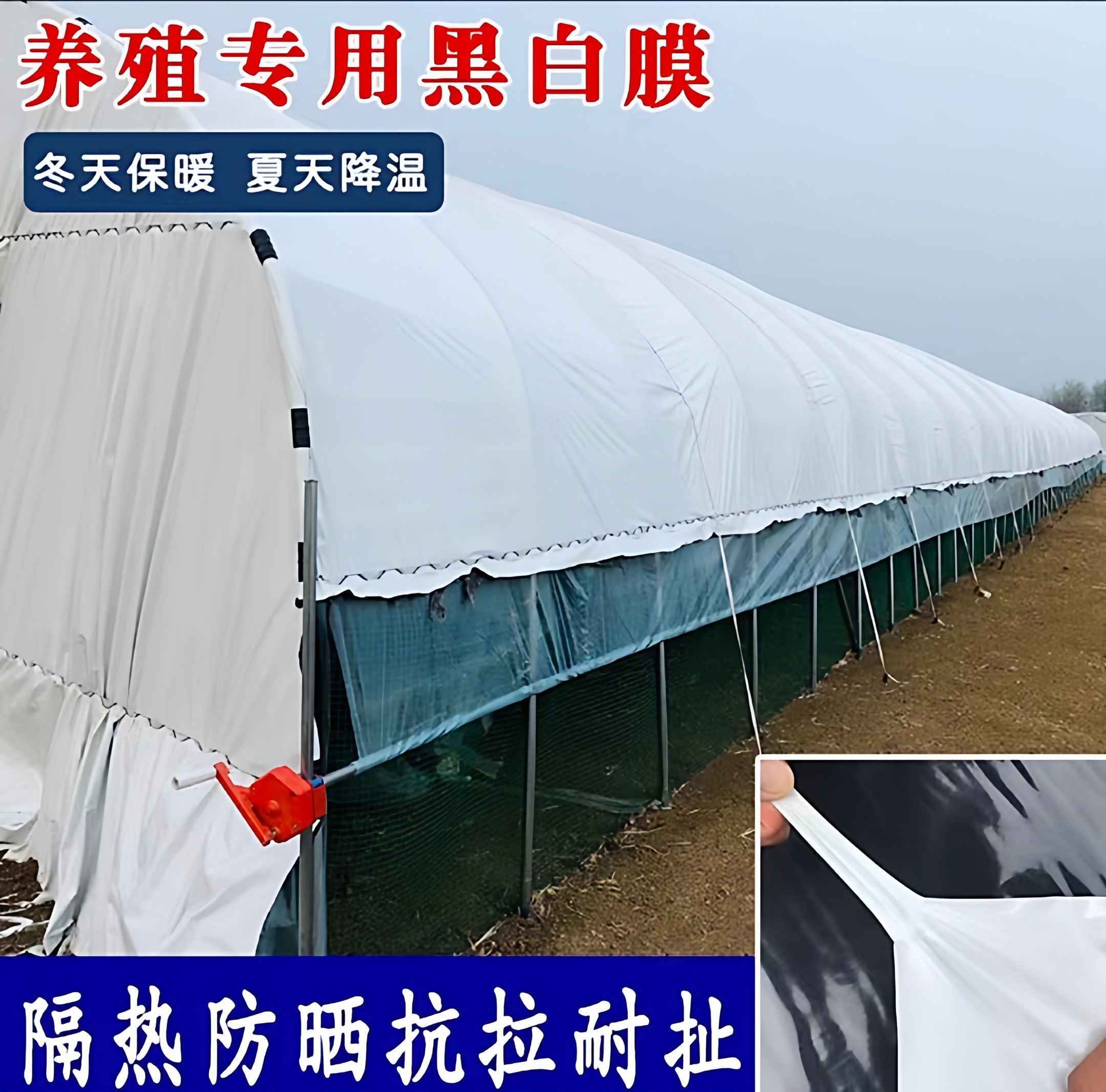 进口黑白膜加厚隔热膜养殖保温绿白膜降温反光鱼塘防渗抗老化棚膜,淘宝优惠券,粉丝福利购,淘宝优惠卷
