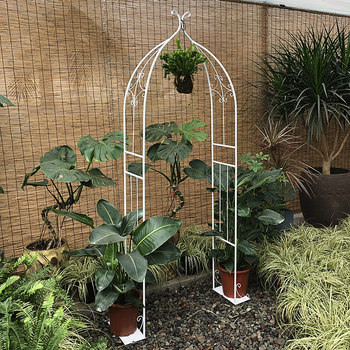 ທາດເຫຼັກ rack grape ທໍ່ເຫລໍກ clematis rose arch flower rack climbing vine rack arch climbing plant bracket outdoor