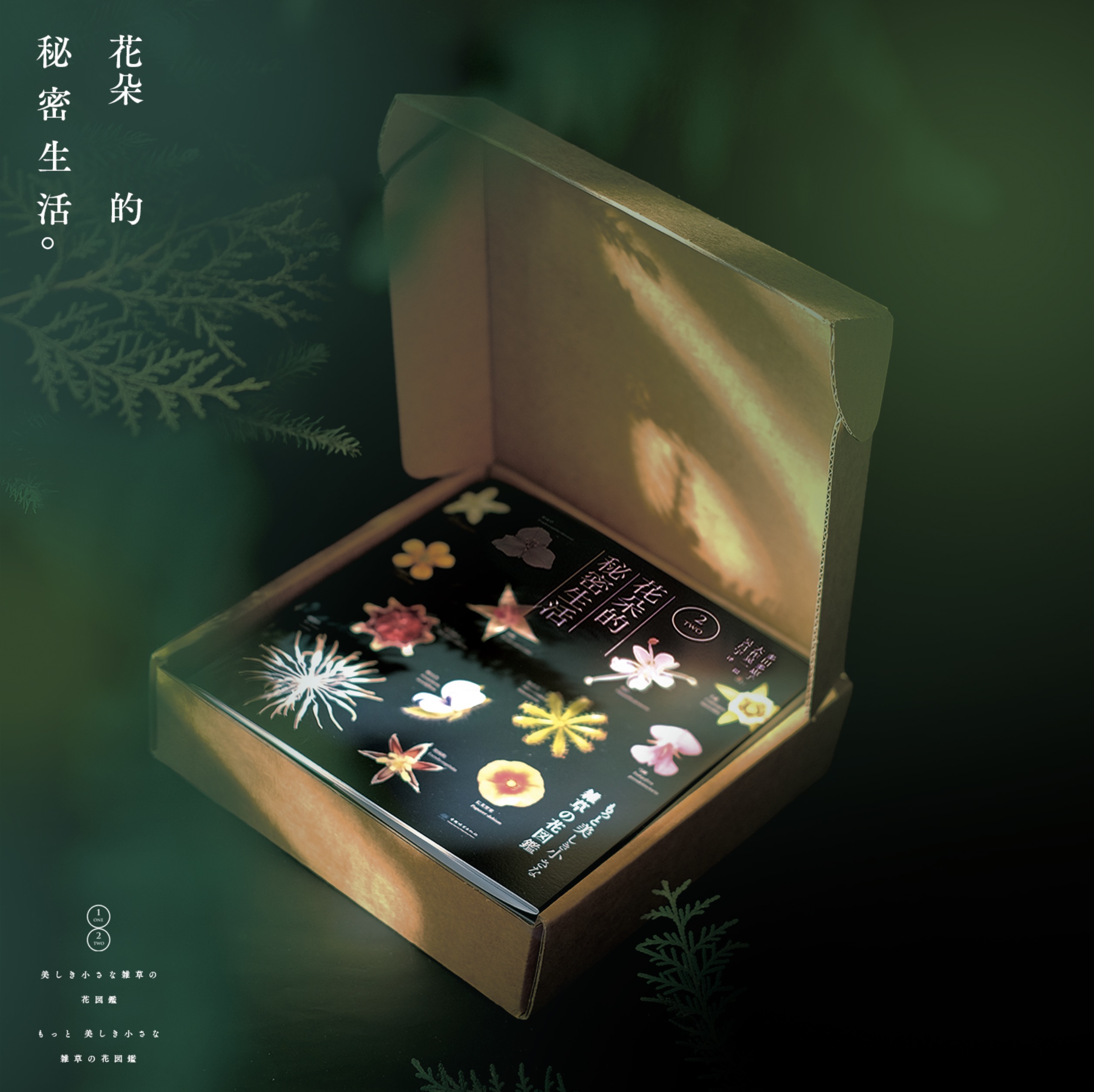 图4