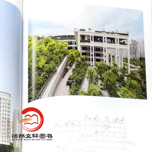 景观设计杂志2026或2025年1月起订全年共6期 全年订阅 景观设计期刊订阅大连理工 期刊杂志订阅环境 风景园林设计 2023合订本 - 图2
