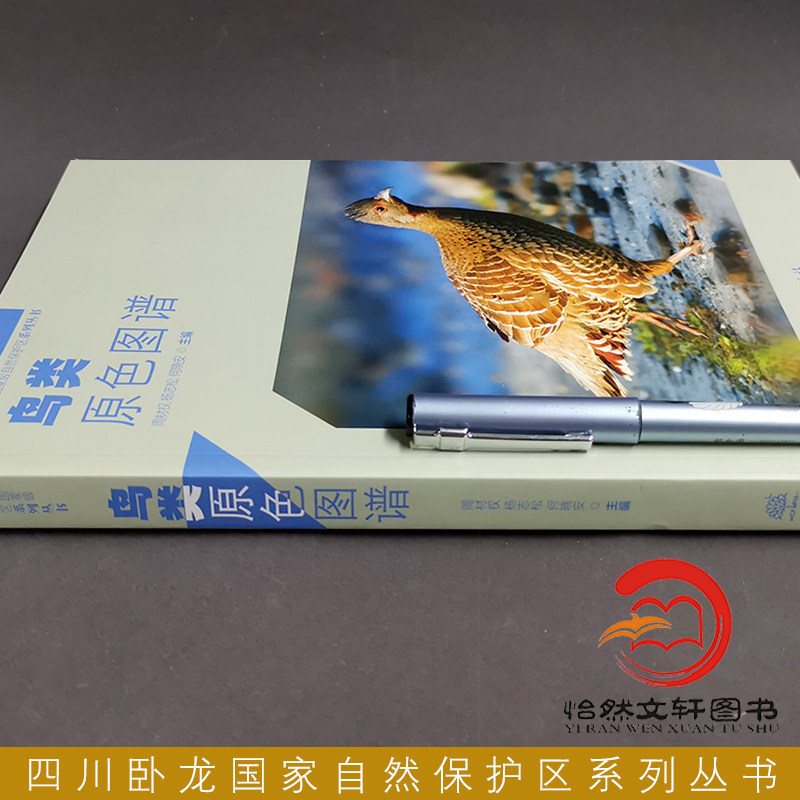 鸟类原色图谱 0152 周材权 杨志松 何晓安 主编 四川卧龙国家*自然保护区系列丛书 中国林业出版社