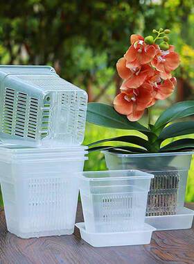 加厚透气塑料花盆兰花蝴蝶兰花盆