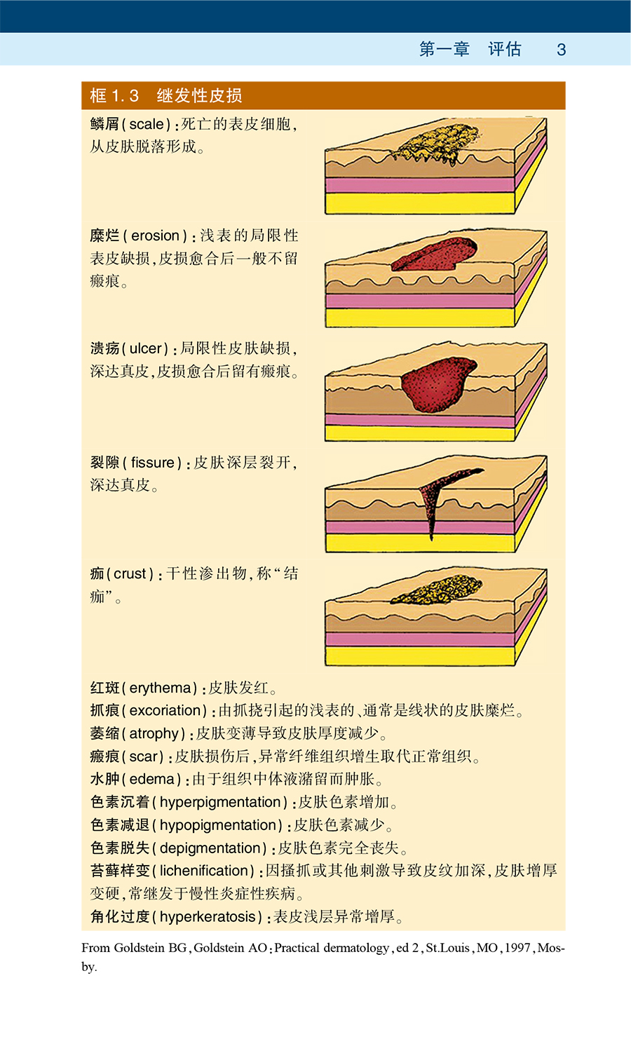 正版Ferri皮肤病实用速查第2二版以速查手册图谱的形式介绍了常见皮肤性病科疾病 193种常见皮肤病朱慧兰郭庆人民卫生出版社-图2