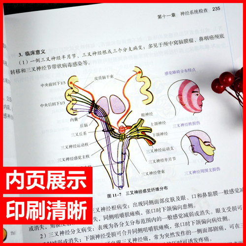 诊断学 詹华奎 新世纪第五版第5版第十一版第11版全国中医药行业高等教育十四五规划教材书籍 中国中医药出版社正版 - 图1