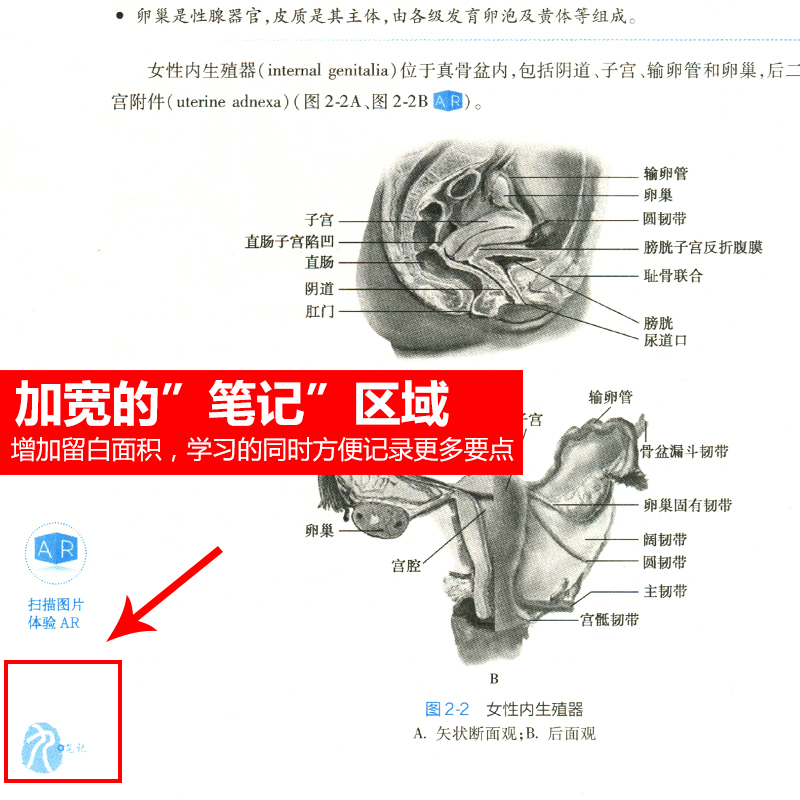 正版人卫 妇产科学第9版第九10版本科临床医学教材谢幸芳 内科学外科学儿科学生理学病理性教材 习题集人民卫生出版社 - 图2