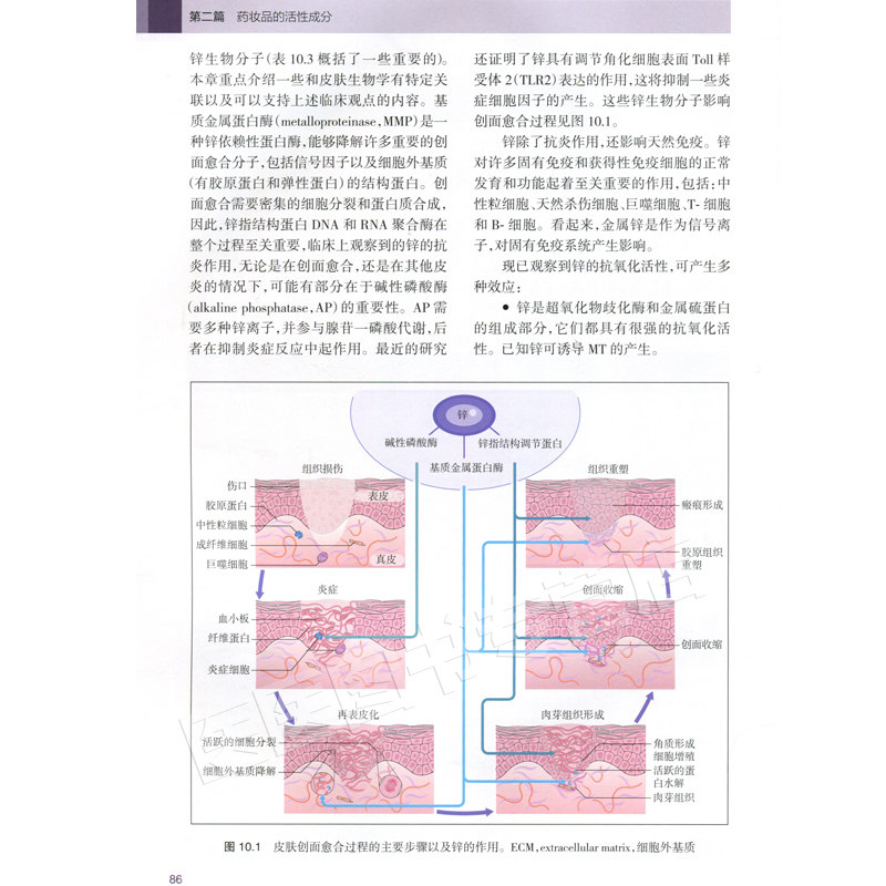 药妆品 国际经典美容皮肤科学技术丛书 许德田皮肤学 基础知识皮肤美容成份测试皮肤屏障书中药面膜粉调制书配方人民卫生出版社
