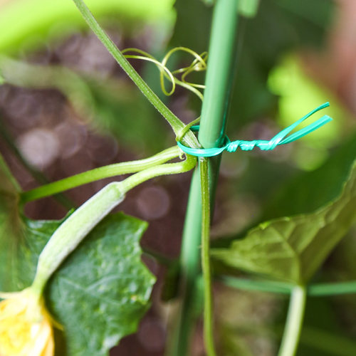 爬藤植物固定园艺绑花扎线扎丝带捆绑神器辅助月季花包塑工艺铁丝 - 图0