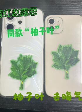 柚子叶去晦气冰箱贴转运幸运亚克力创意小众搞怪礼物冰箱装饰品