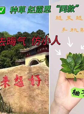 【去晦气用它】柚子叶吊坠好运来幸运挂件创意去霉运高颜值钥匙扣