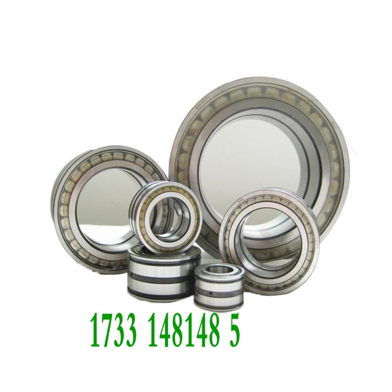 德国进口INA滚子轴承SL045015 SL045016 SL045017 SL045018PP-XL - 图3