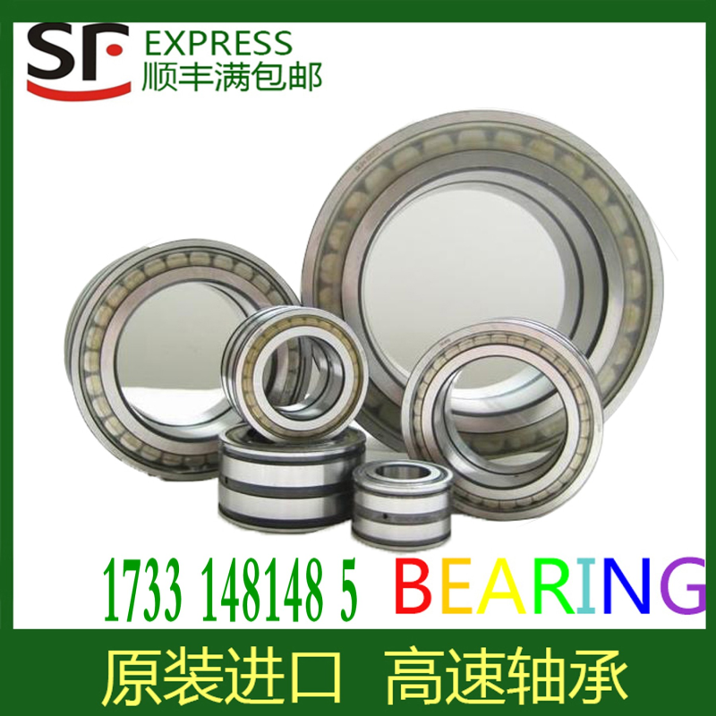 德国进口INA滚子轴承SL045015 SL045016 SL045017 SL045018PP-XL - 图2