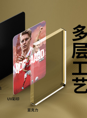 经典厄德高球星冰箱贴 世界杯纪念软磁贴 家居装饰送礼收藏佳品