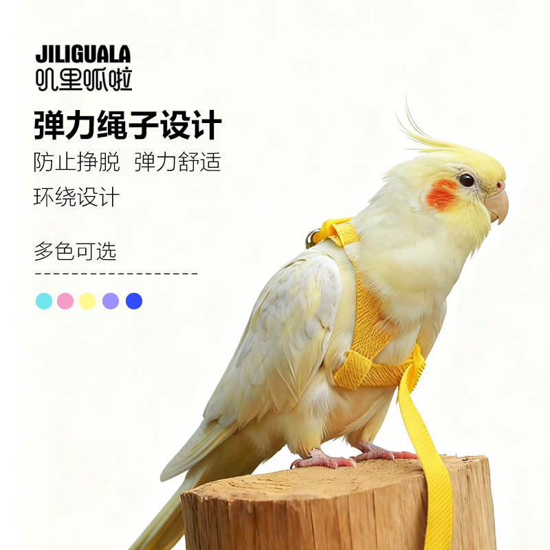 图3