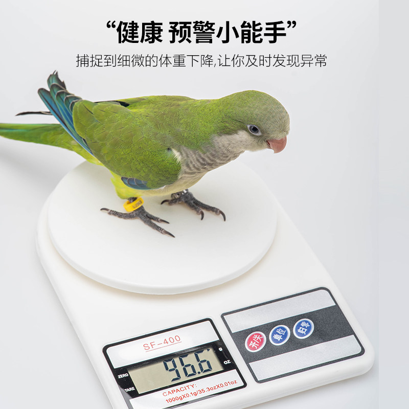 图2