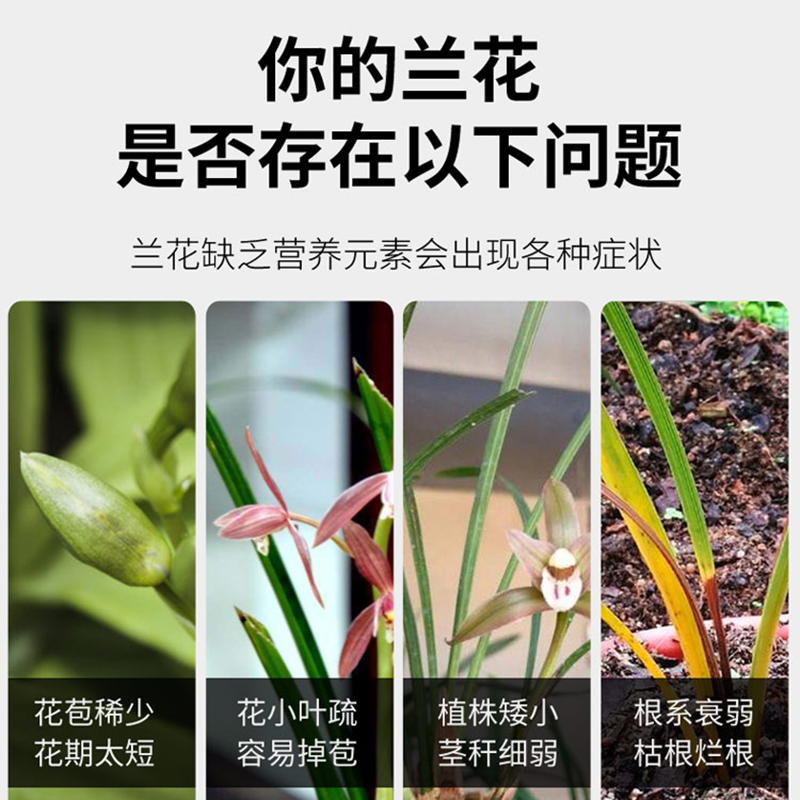 兰灵王兰花专用肥蝴蝶兰菌群君子兰陵王兰科em菌营养液肥料活化剂 - 图2