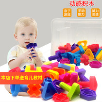 Shape pairing toy building block Puzzle Children Fine Action Training Plastic Screw Nuts Combined Screwing and disassembling spell