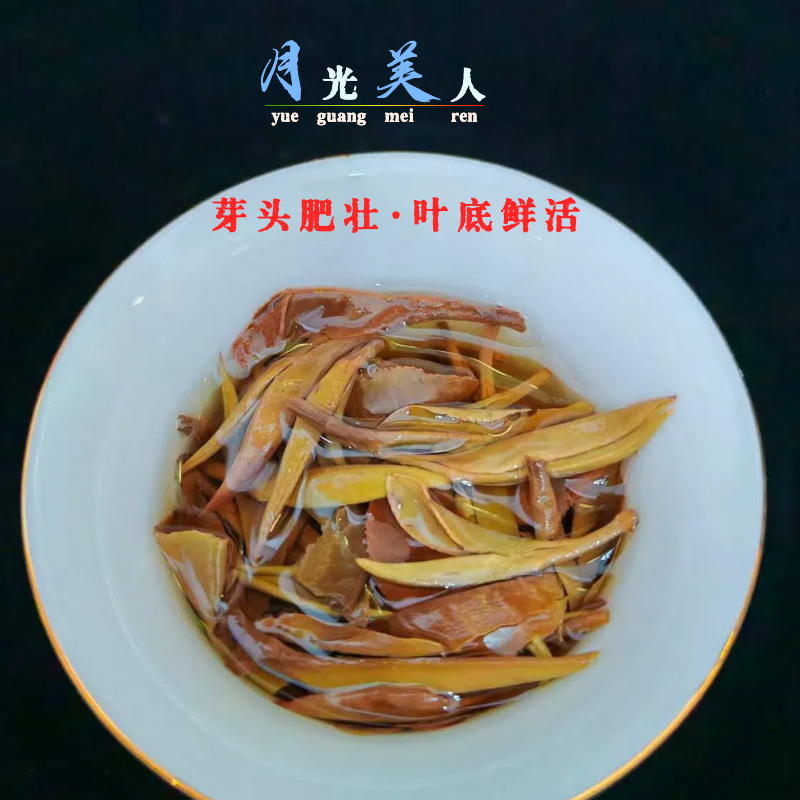 月光美人云南古树特级茶叶2023年头春新茶花香蜜甜古树白茶 - 图2