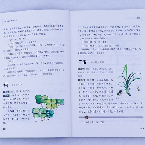本草纲目正版李时珍原著原版烫金全套4册彩图版彩色详解中国药学巨著古典百科全书养生书籍中医正版中草药大全书中医书籍团结出版 - 图0