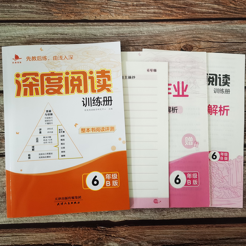 福建省适用正版深度阅读训练册A版B版古诗词一年级二年级三年级四五六年级上下册ab版1-2-3-4-5-6年级小学语文阅读理解同步练习册-图2