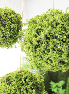 仿真装饰球绿植吊球幼儿园植物角