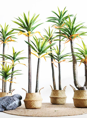 仿真绿植荷兰铁盆栽龙舌兰植物北欧客厅落地室内仿真装饰假绿植树