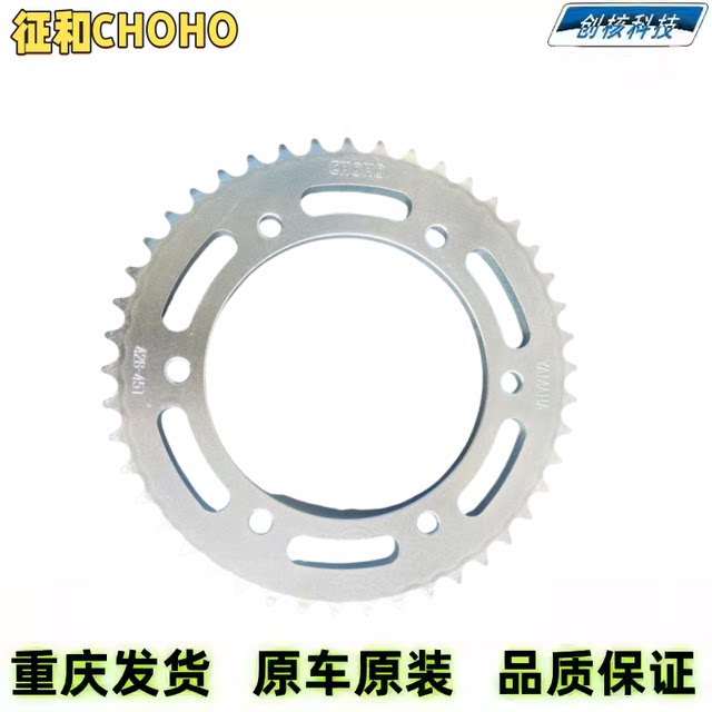 Yamaha Tianjianwang Feizhi 250 gear chain