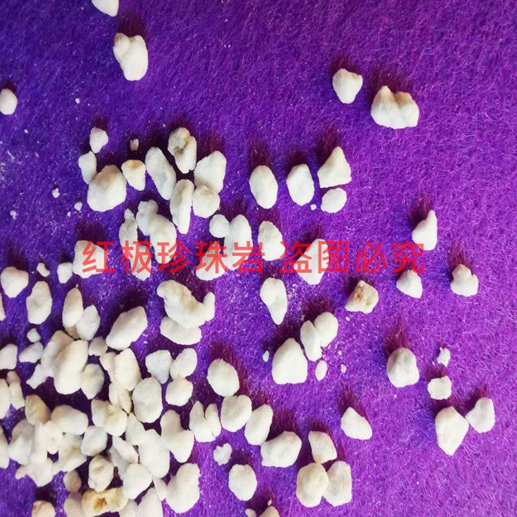 红极园艺农业无土栽培珍珠岩基质育苗专用园林绿化用珍珠岩介质营,淘宝优惠券,粉丝福利购,淘宝优惠卷