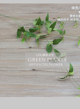 绿植铁线莲吊兰婚庆插花