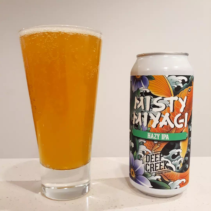 酸厂|清仓促销处理 成本出 多家酒厂 6罐包邮 IPA 精酿啤酒