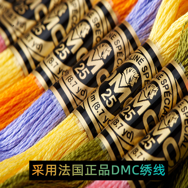 女巫十字绣 DMC绣线手工礼物交通卡套卡通：胡萝卜兔兔 送护角 - 图0