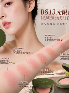 迈本无限森林绒缎烘焙烤粉腮红