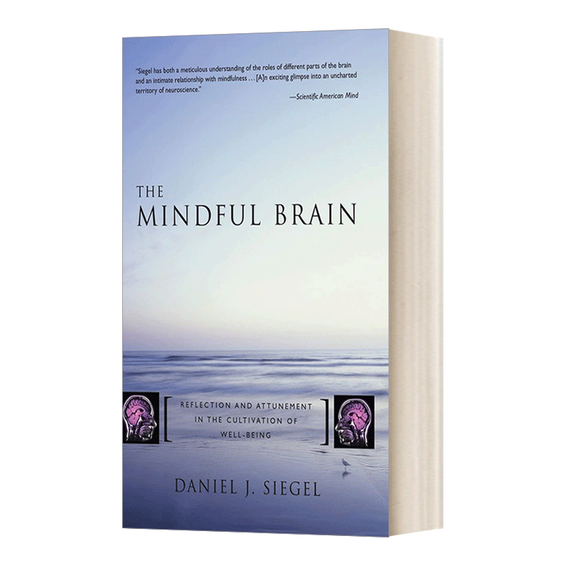 英文原版 The Mindful Brain 正念之脑 大脑神经学与冥想的整合运用 精装 英文版 进口英语原版书籍