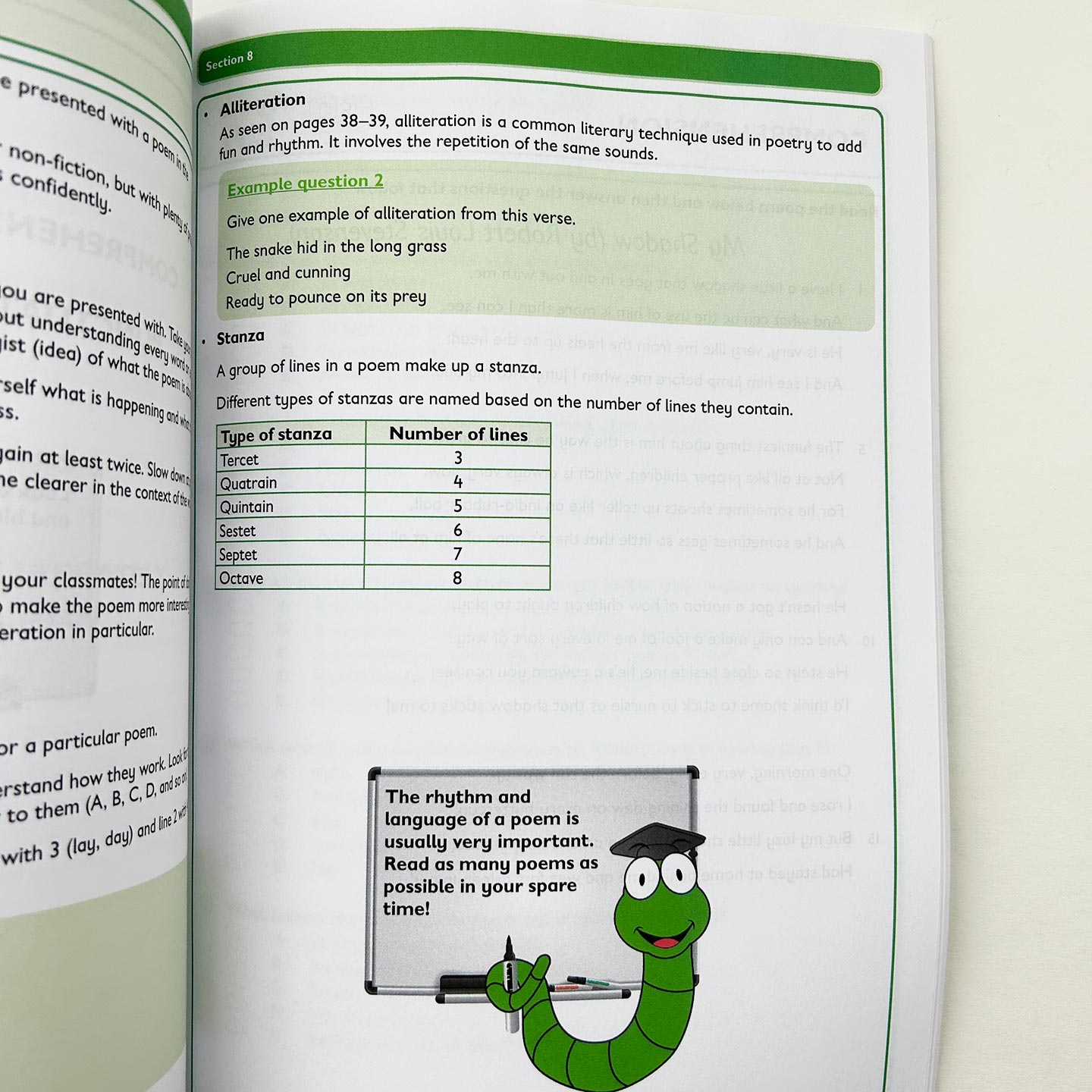 英文原版 Collins11+ Comprehension and Spelling Punctuation Grammar Support 阅读理解拼写标点符号和语法练习册 进口英语书