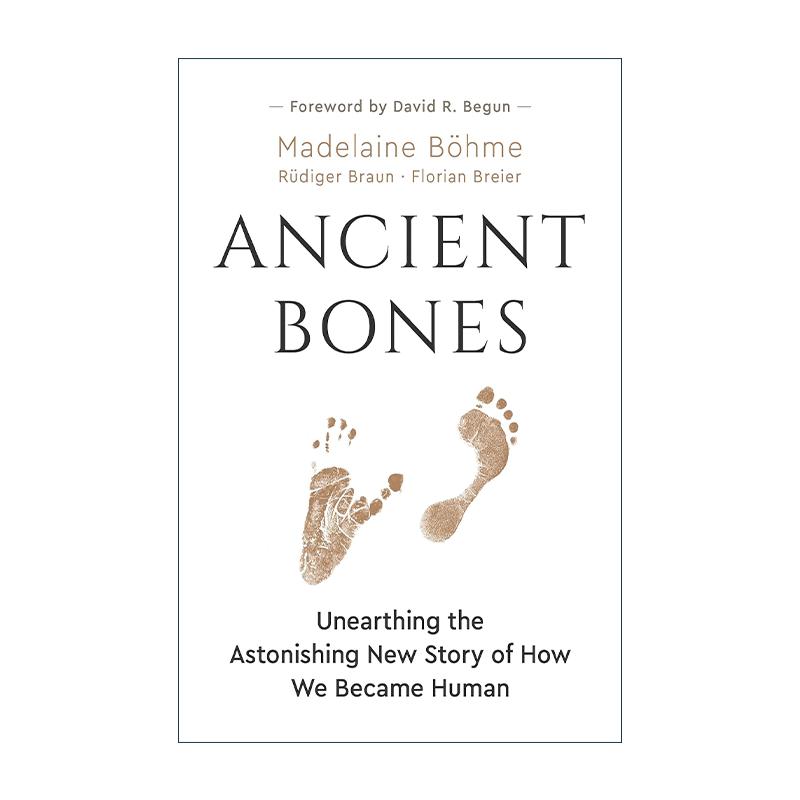 英文原版 Ancient Bones 古老骨骼 揭示我们如何成为人类的惊人新故事 古生物学 Madelaine B?hme 英文版 进口英语原版书籍