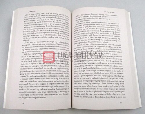达摩流浪者 The Dharma Bums 英文原版小说 在路上续篇 英文版 Jack Kerouac 杰克凯鲁亚克自传体小说 进口英语书籍 - 图2