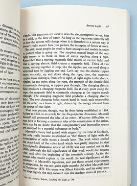 英文原版 Schrodinger's Kittens and the Search for Reality 寻找薛定谔的猫 量子物理和真实性 英文版 进口英语原版书籍