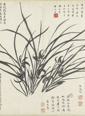 周天球墨兰图明代兰花图