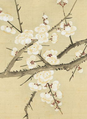 清代邹一桂白梅山茶图没骨花卉图复制品高清艺术微喷画心临摹画稿