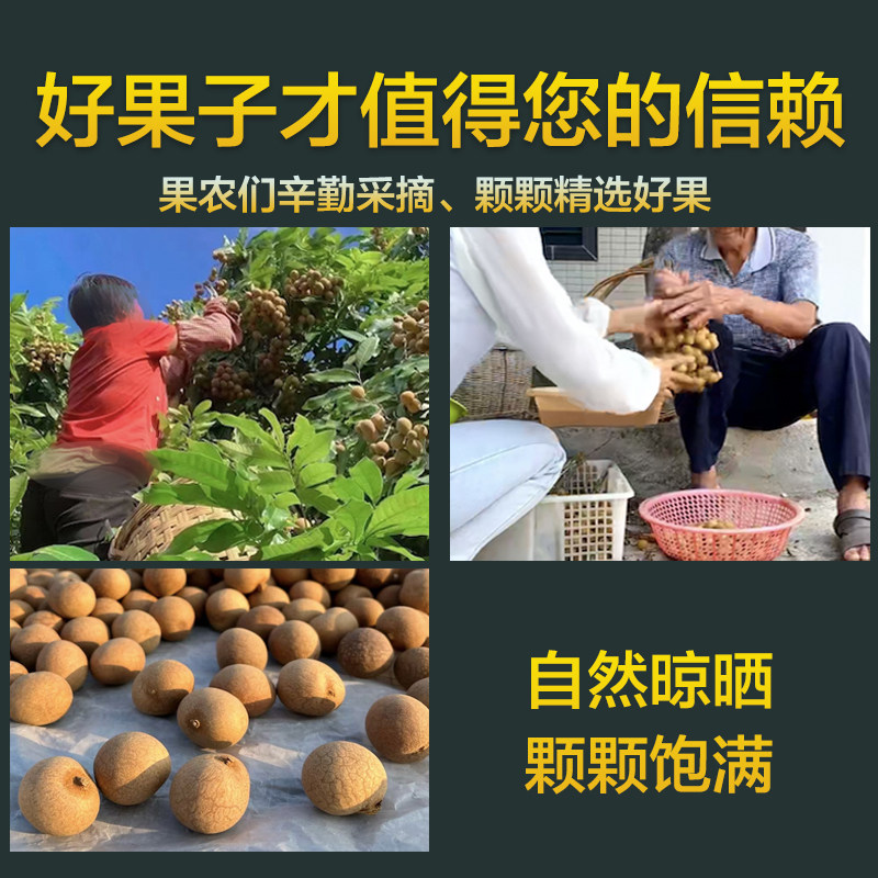新鲜特级大桂圆干莆田特产泡水肉厚小核优质带壳天然新果龙眼肉干