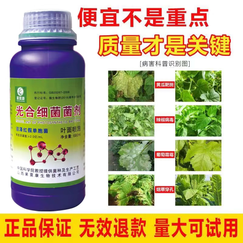 光合细菌蔬菜瓜果养护根生根微生物菌花卉菌液浓缩叶面肥水溶病毒 - 图3