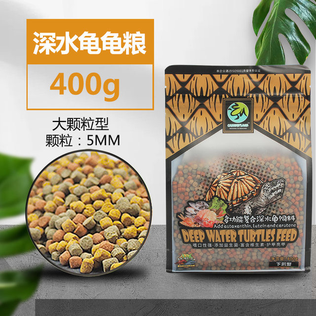 ຈົມ​ເຕົ່າ​ດັງ​ຫມູ​ກັບ​ອາ​ຫານ​ພິ​ເສດ​ແລະ​ອາ​ຫານ​ສໍາ​ລັບ Cunjin​