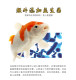Koi feed fish food ປານ້ອຍ ບໍ່ມີນ້ໍາຕົມ ອະນຸພາກຂະຫນາດນ້ອຍ