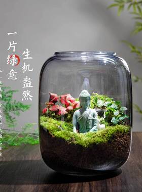 生命之树生态瓶创意微景观桌面盆栽办公室绿植成品盆景好养活青苔